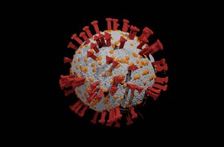 Coronavirus by Muenocchio public domain.jpg